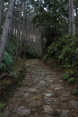 熊野古道(中辺路)