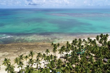 Aerial view of Carneiros&rsquo;s Beach, Pernambuco, Brazil: Vacation in the paradisiac beach with blue sky and crystal water. Fantastic beach view. Great landscape. Travel scene. Vacation scene