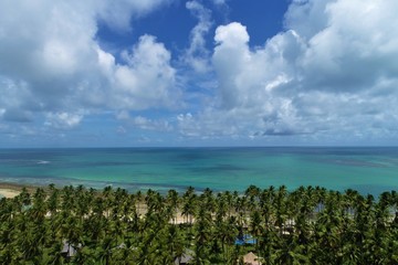 Aerial view of Carneiros’s Beach, Pernambuco, Brazil: Vacation in the paradisiac beach with blue...