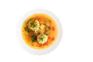 russian national food in white background