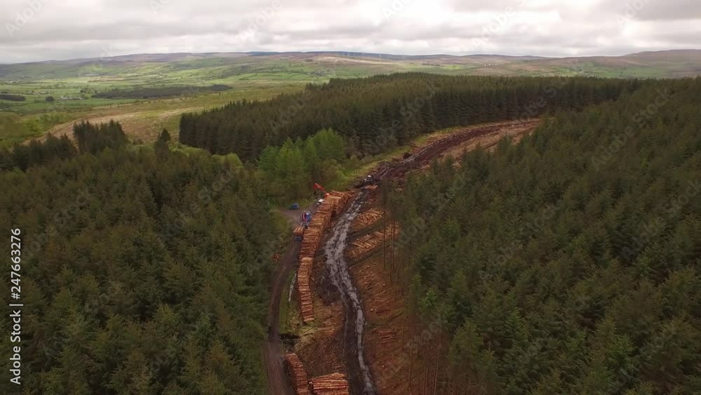 Poster forestry and logging operations taking place in the highlands of scotland using large industrial mac