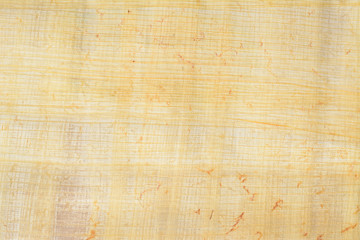 Real old payrus paper background and texture number 14. Close up macro.