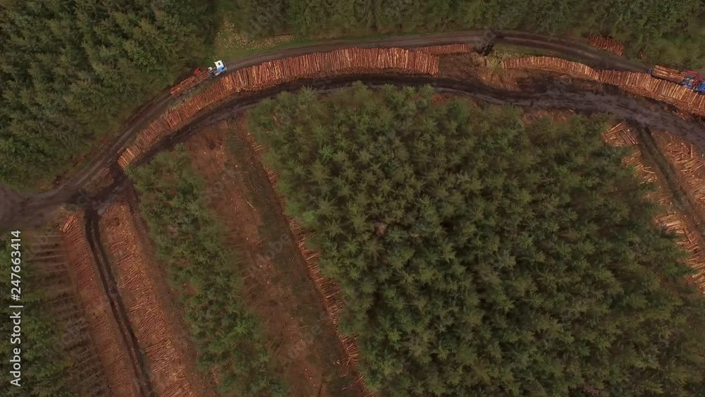Poster forestry and logging operations taking place in the highlands of scotland using large industrial mac