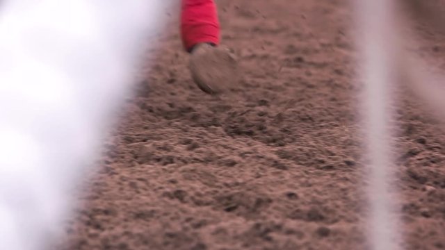 Close up of a racehorse running past in slowmotion