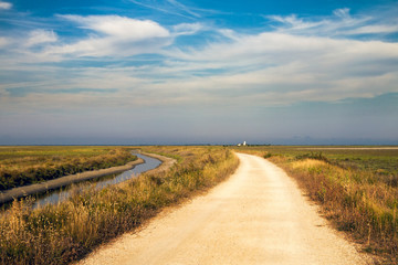Fototapeta premium Camargue, Francia