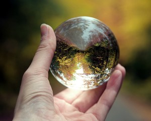 Fall trees reflected in crystal ball in baxter state park Maine. 