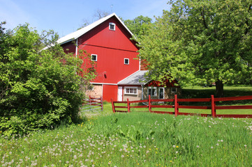 Fototapeta na wymiar Beautiful spring landscape with red barn. Scenic view with old style red barn between fresh green color trees. Green grass field with daffodils in a foreground. Rural life and farming background.