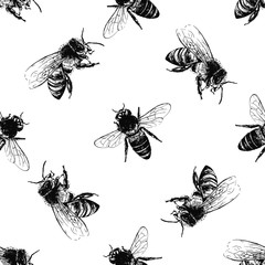 Seamless pattern of hand drawn sketch style bees isolated on white background. Vector illustration.