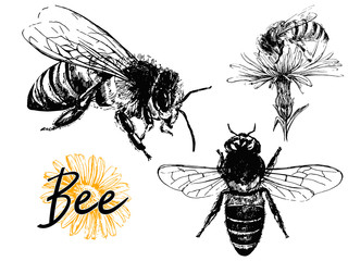 Set of hand drawn sketch style bees isolated on white background. Vector illustration.