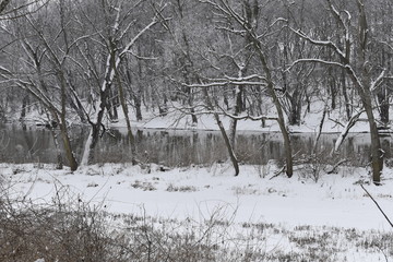 winter landscape with trees and a river