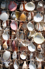 Souvenir ft7107_5677