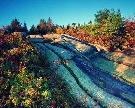 Morning Light On Cadillac Mountain In Acadia National Park Maine, With Fall Foliage On The Edge. 