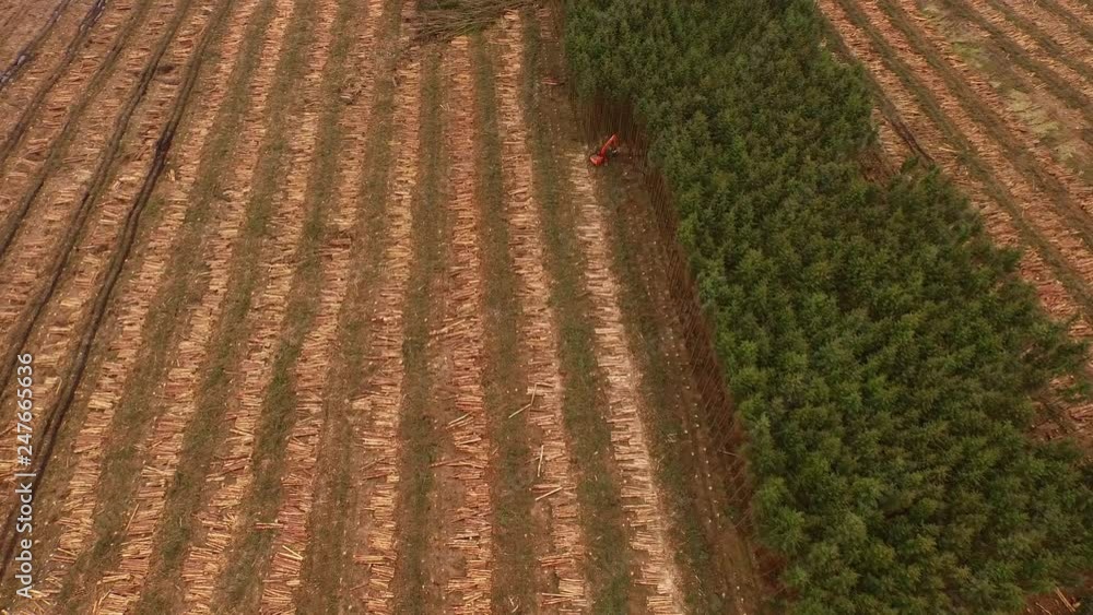 Aufkleber forestry and logging operations taking place in the highlands of scotland using large industrial mac