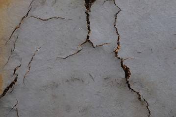 Obraz premium gray wooden background from an old plate with cracks