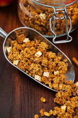 Apple Cinnamon Granola. Selective focus.