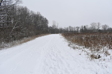 road in winter