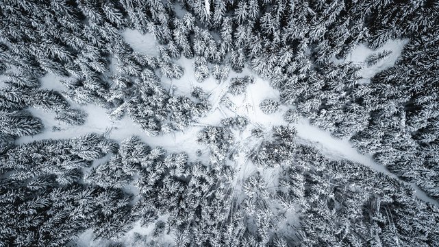 Snowy forest with drone in winter in the French Alps