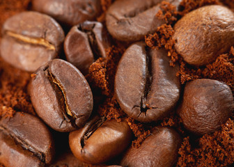 Macro photo of Coffee beans and ground coffee powder
