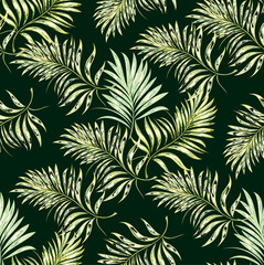 Seamless pattern of a tropical palm tree, jungle leaves. Vector floral pattern.