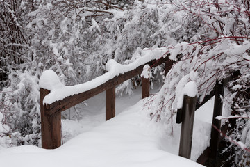 bridge with snow and trees - 247671081