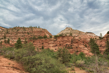 Zion East