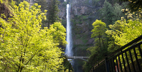 Multnomah Falls below the bridge
