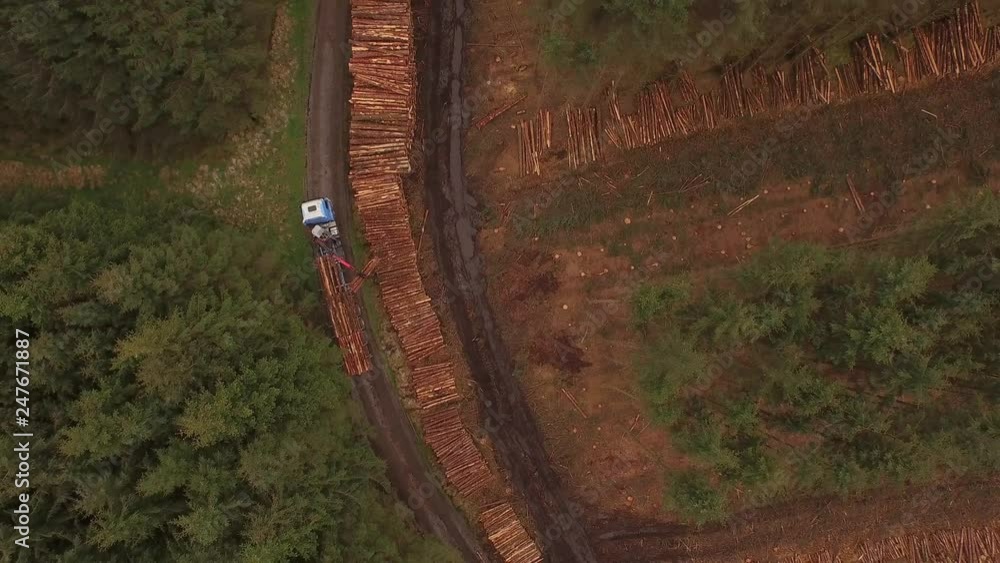 Poster forestry and logging operations taking place in the highlands of scotland using large industrial mac