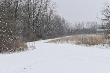winter rural landscape with a road and trees