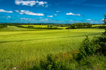 Fototapeta premium Landschaft