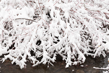 Winter photography in the mountains of Idaho