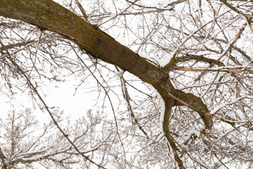 Winter photography in the mountains of Idaho