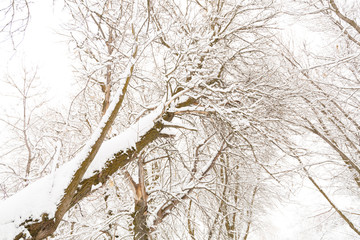 Winter photography in the mountains of Idaho