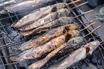 Catfish grilled on a charcoal stove.