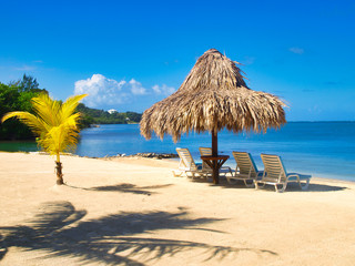 tropical beach with umbrellas