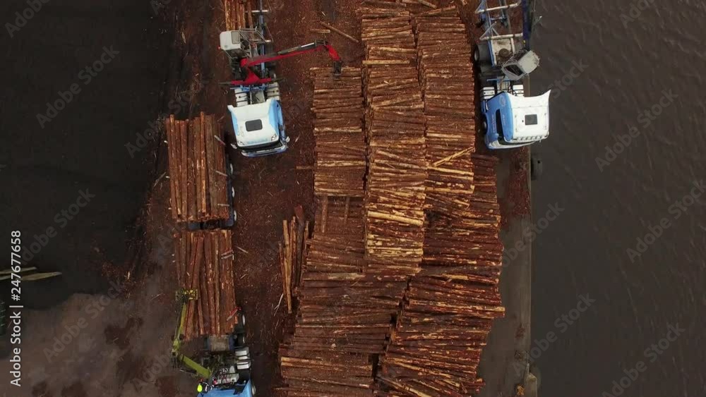 Poster forestry and logging operations taking place in the highlands of scotland using large industrial mac