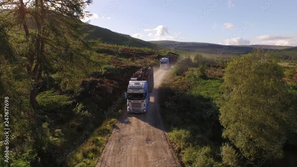 Poster forestry and logging operations taking place in the highlands of scotland using large industrial mac
