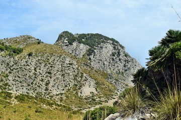 View of the hills and mountains on the way to the Formentor Lighthouse