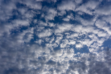 青い空と白い雲