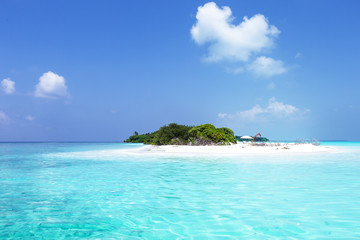 Fototapeta na wymiar Amazing tropical island with coconut palms