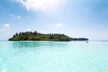 Amazing tropical island with coconut palms