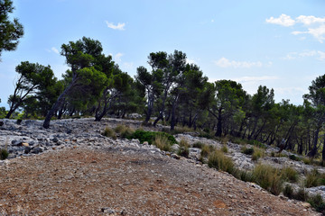 View of the hills on the way to the Formentor lighthouse in Mallorca