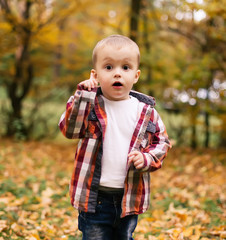 Little cute boy in autumn park