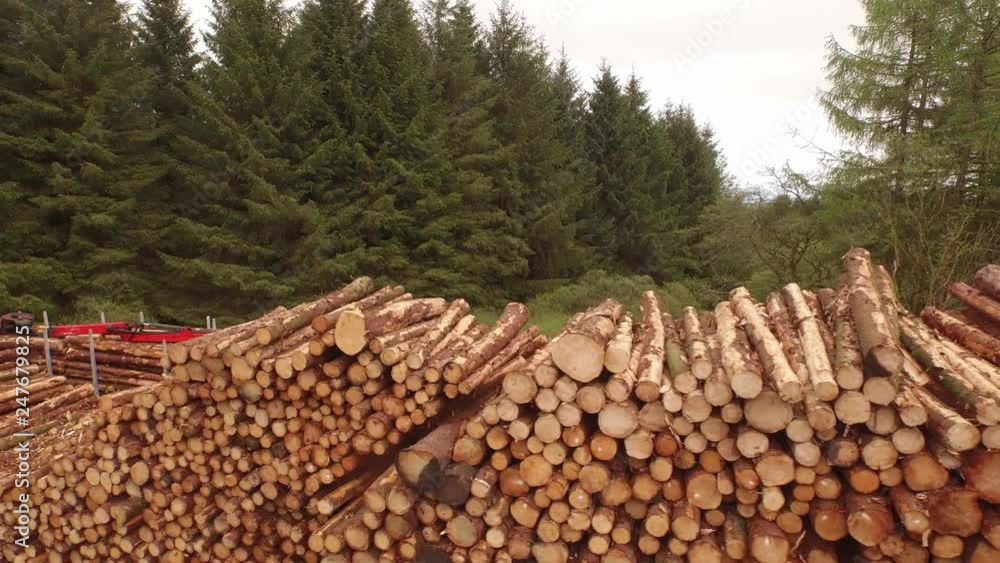 Poster forestry and logging operations taking place in the highlands of scotland using large industrial mac