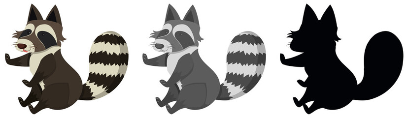 Set of raccoon cartoon character