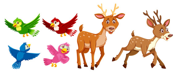 Set of deer and bird character
