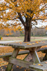 Table in Fall at Park