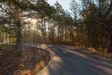 Obraz premium Sunbeam Around a Curvy Road