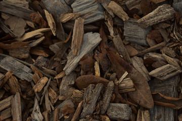 Mulch and leaves on ground