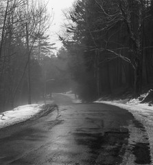 Road in winter forest on a misty day, fog.