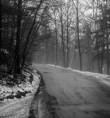 Road in winter forest on a misty day, fog.